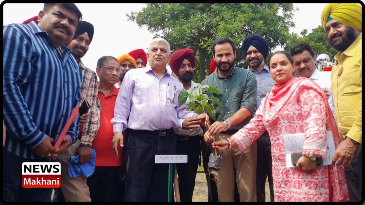 Untitled design - 2022-09-16T190742.939