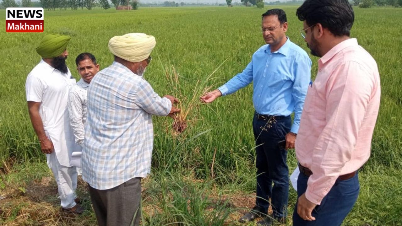 Untitled design - 2022-09-17T183242.040