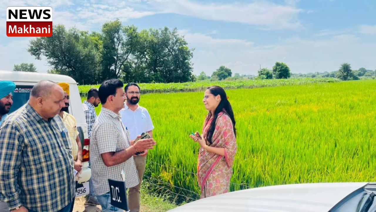 Untitled design - 2022-09-20T160648.020