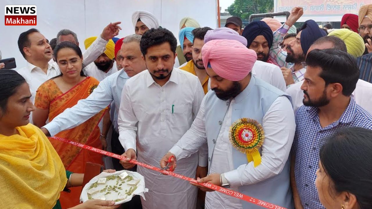 Untitled design - 2022-09-29T170152.668