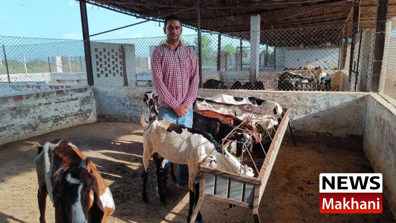 ਨੌਜਵਾਨ ਰਾਹੁਲ ਕਾਸਣੀਆਂ ਨੇ ਐਮਬੀਏ ਕਰ ਬਕਰੀ ਪਾਲਣ ਨੂੰ ਬਣਾਇਆ ਬਿਜਨੈਸ ਮਾੱਡਲ