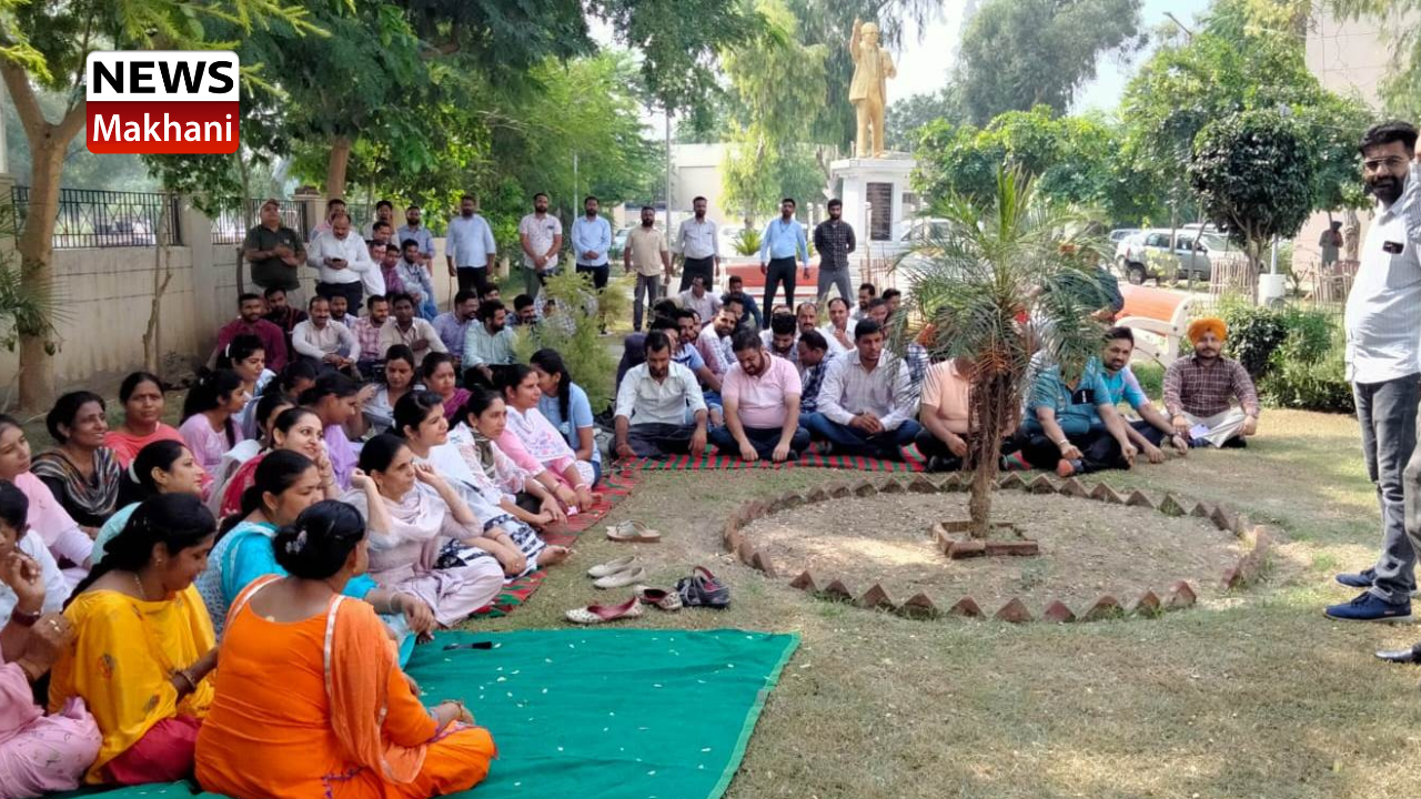 Untitled design (33)