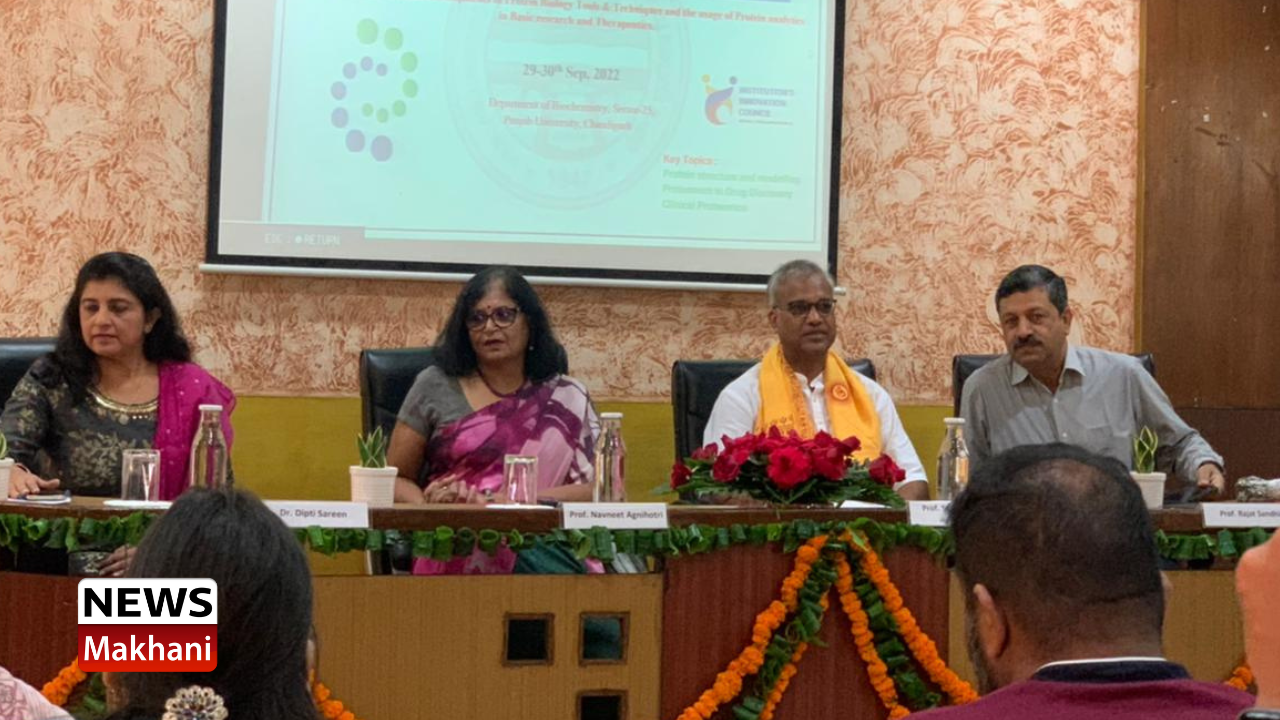 Untitled design (37)