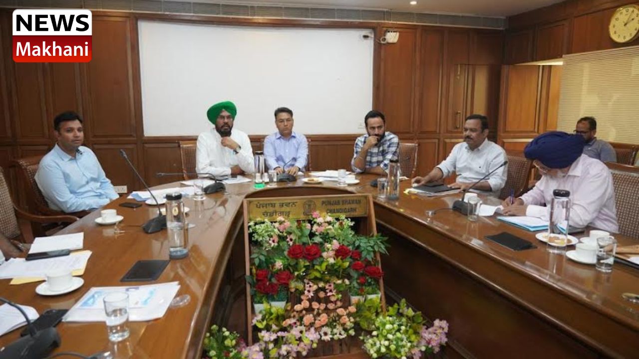 Untitled design (55)