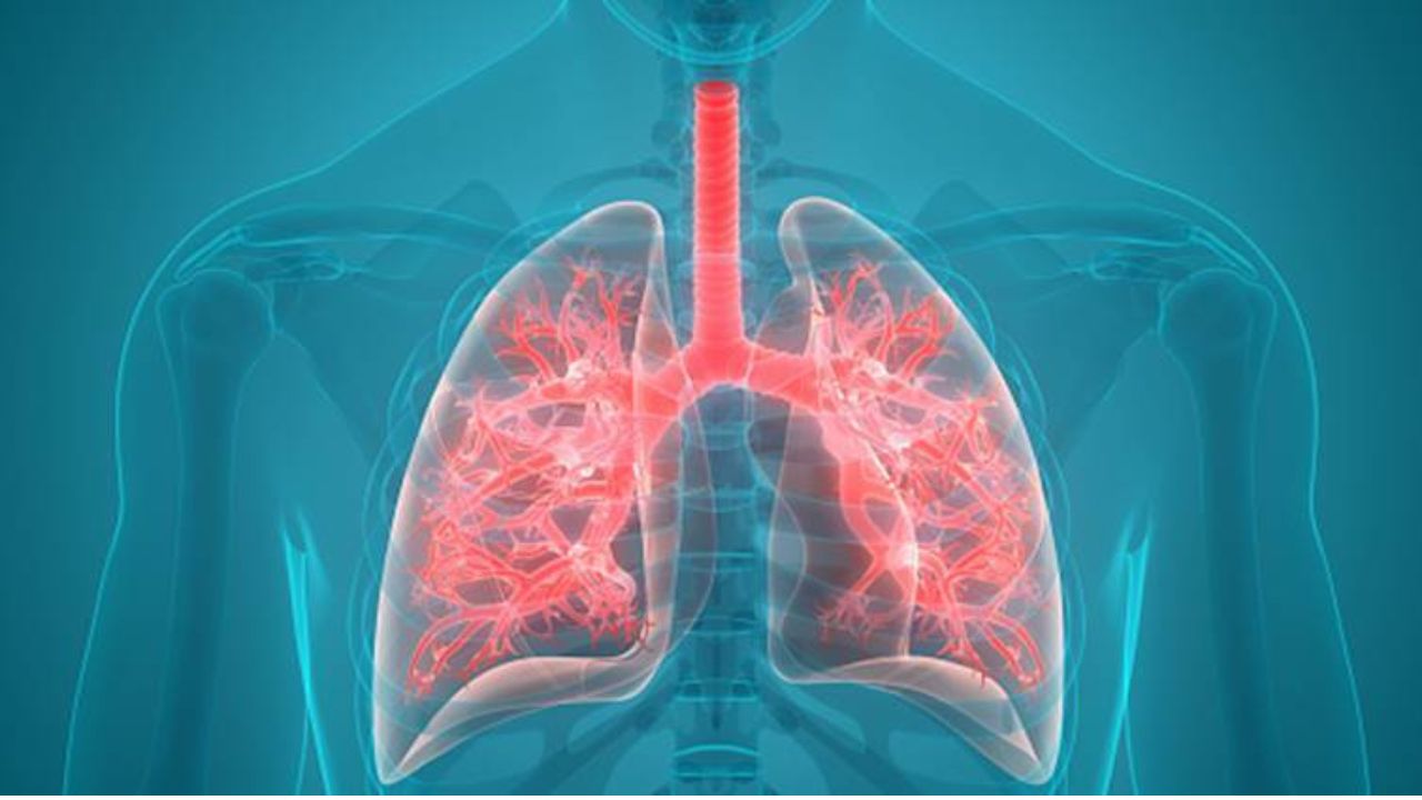 Untitled design (11)