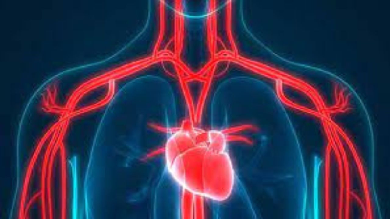 Untitled design (15)