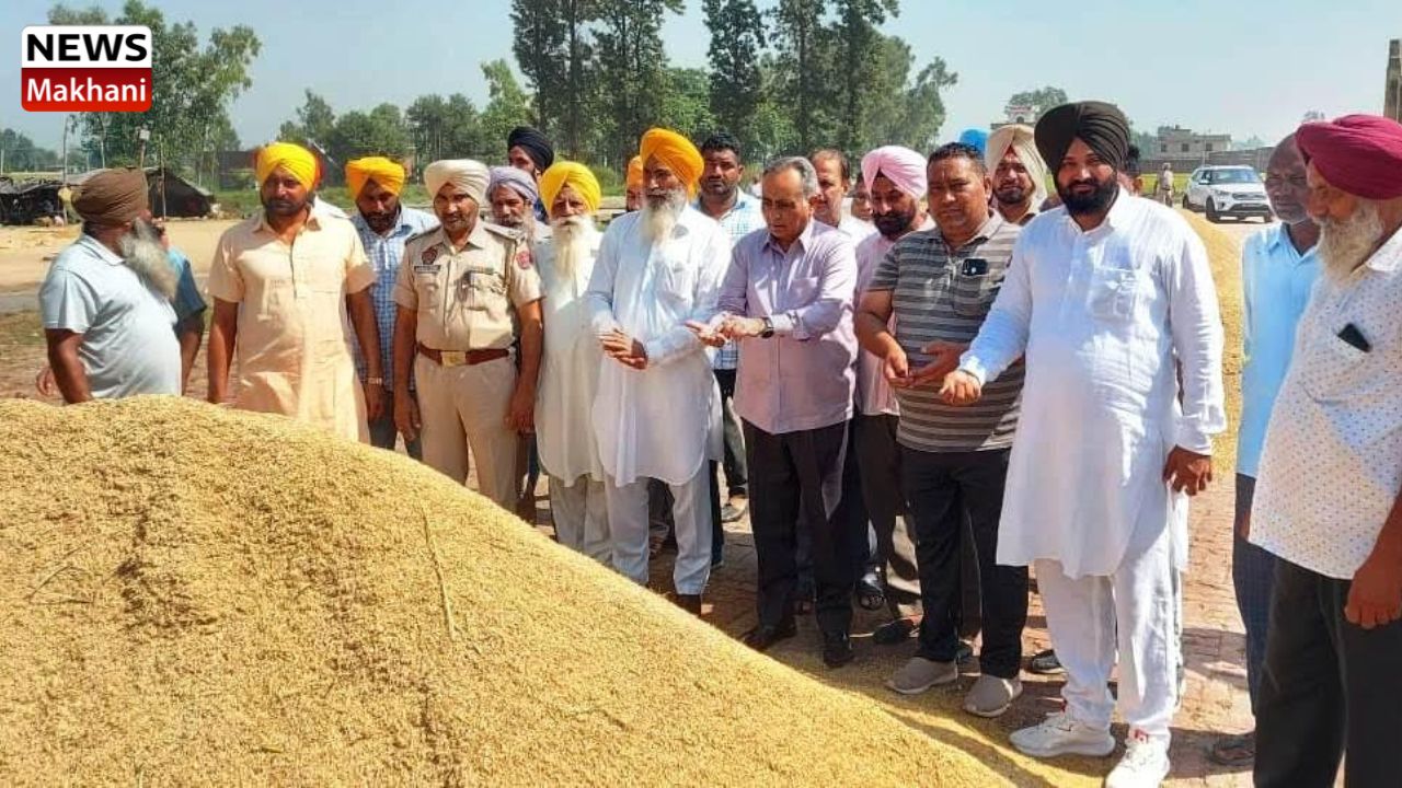 Untitled design - 2022-10-03T145833.393