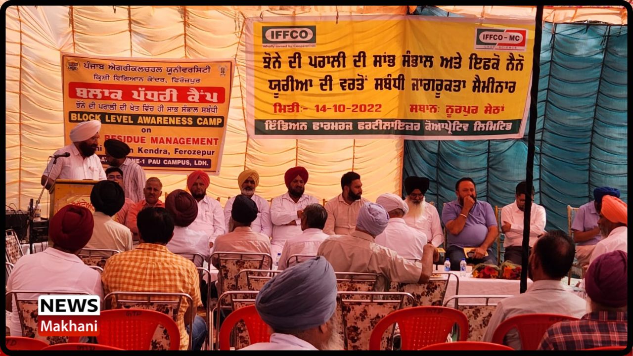 Untitled design - 2022-10-14T175105.580