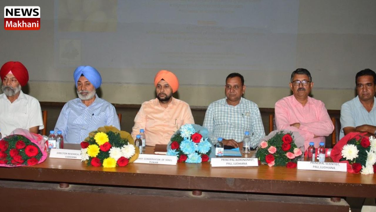 Untitled design - 2022-10-19T184455.317