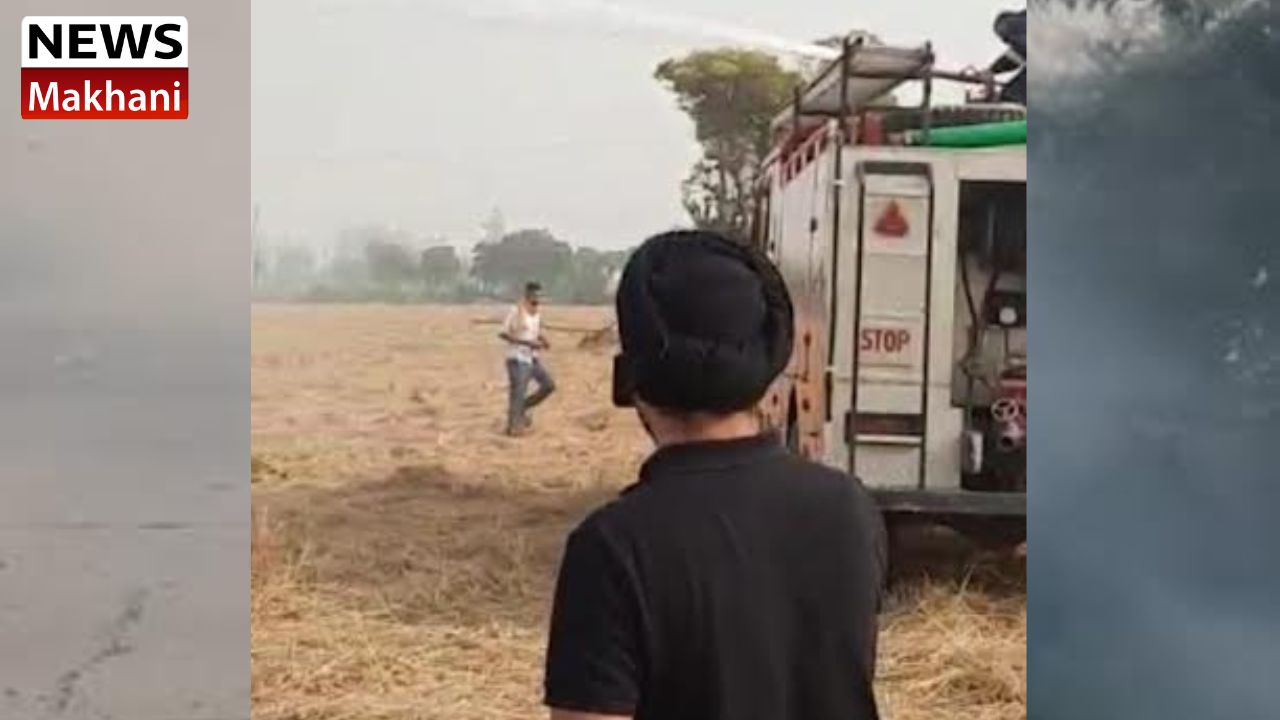 Untitled design - 2022-10-31T155544.099