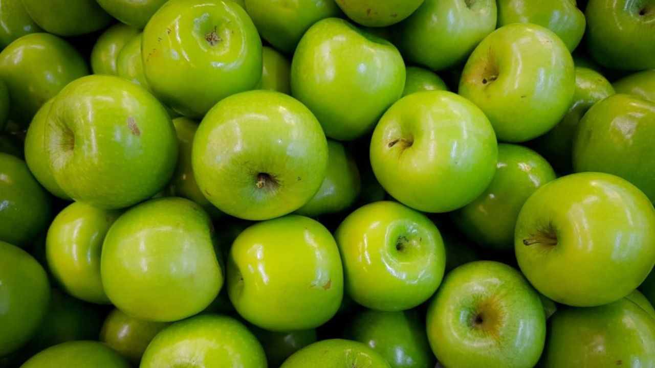 Untitled design (29)