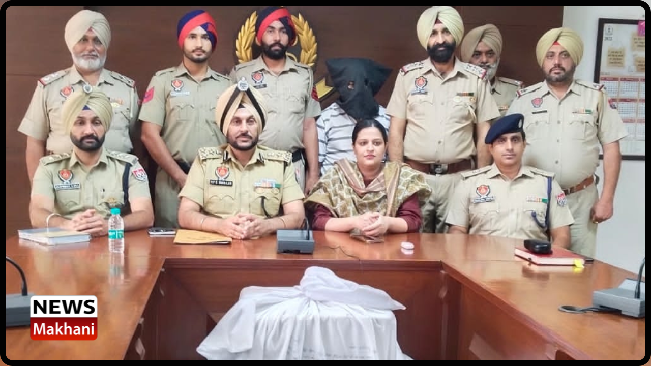 Untitled design (41)