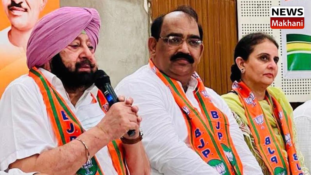 Untitled design (53)