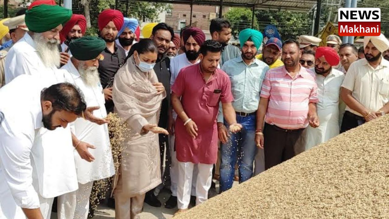 Untitled design (57)