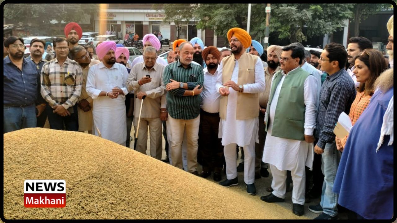 Untitled design - 2022-11-01T132939.638