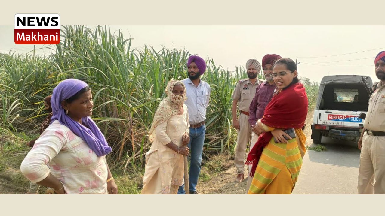 Untitled design - 2022-11-02T163909.773