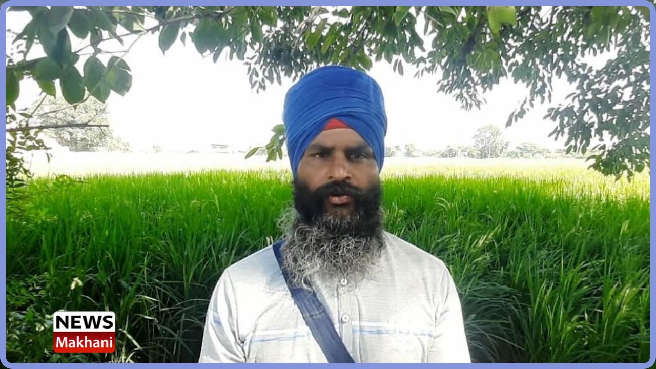 Untitled design - 2022-11-03T164052.659