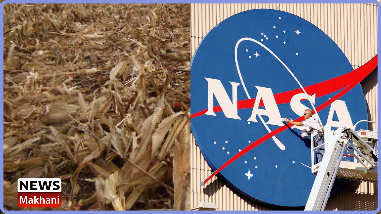 Untitled design - 2022-11-11T154328.110