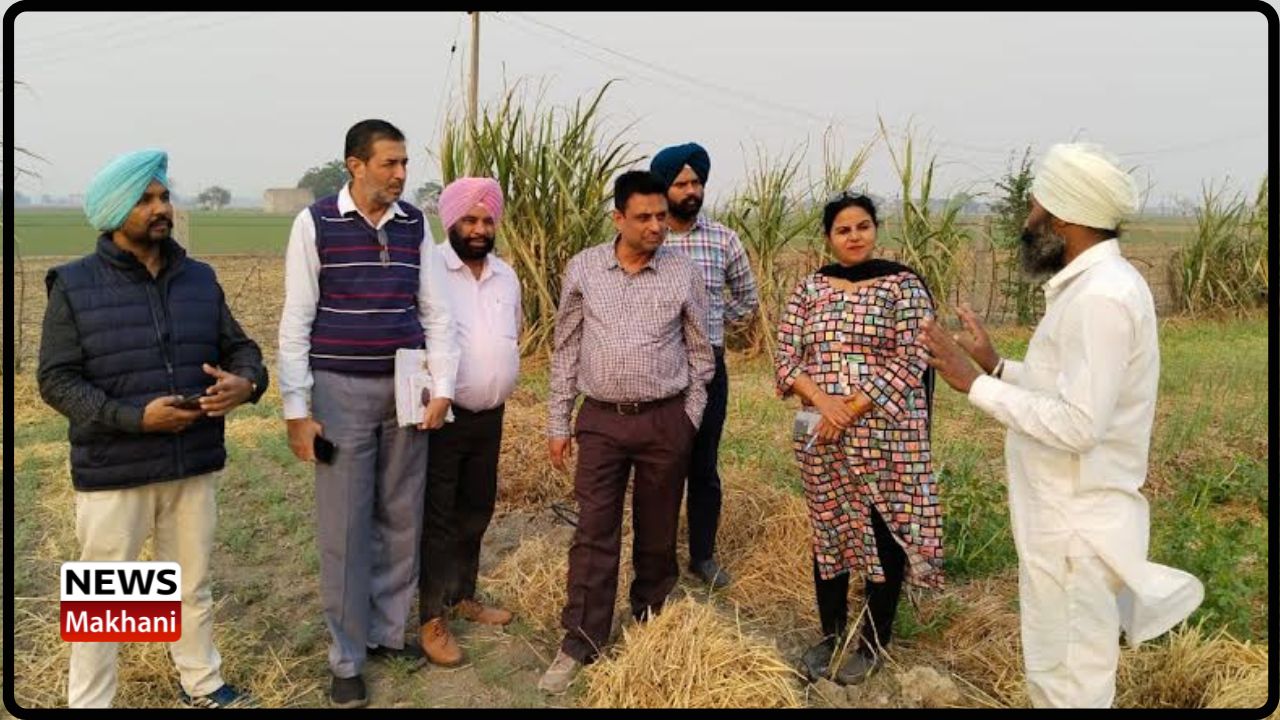 Untitled design - 2022-11-17T161050.068