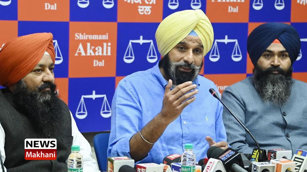 Untitled design - 2022-11-19T181222.838