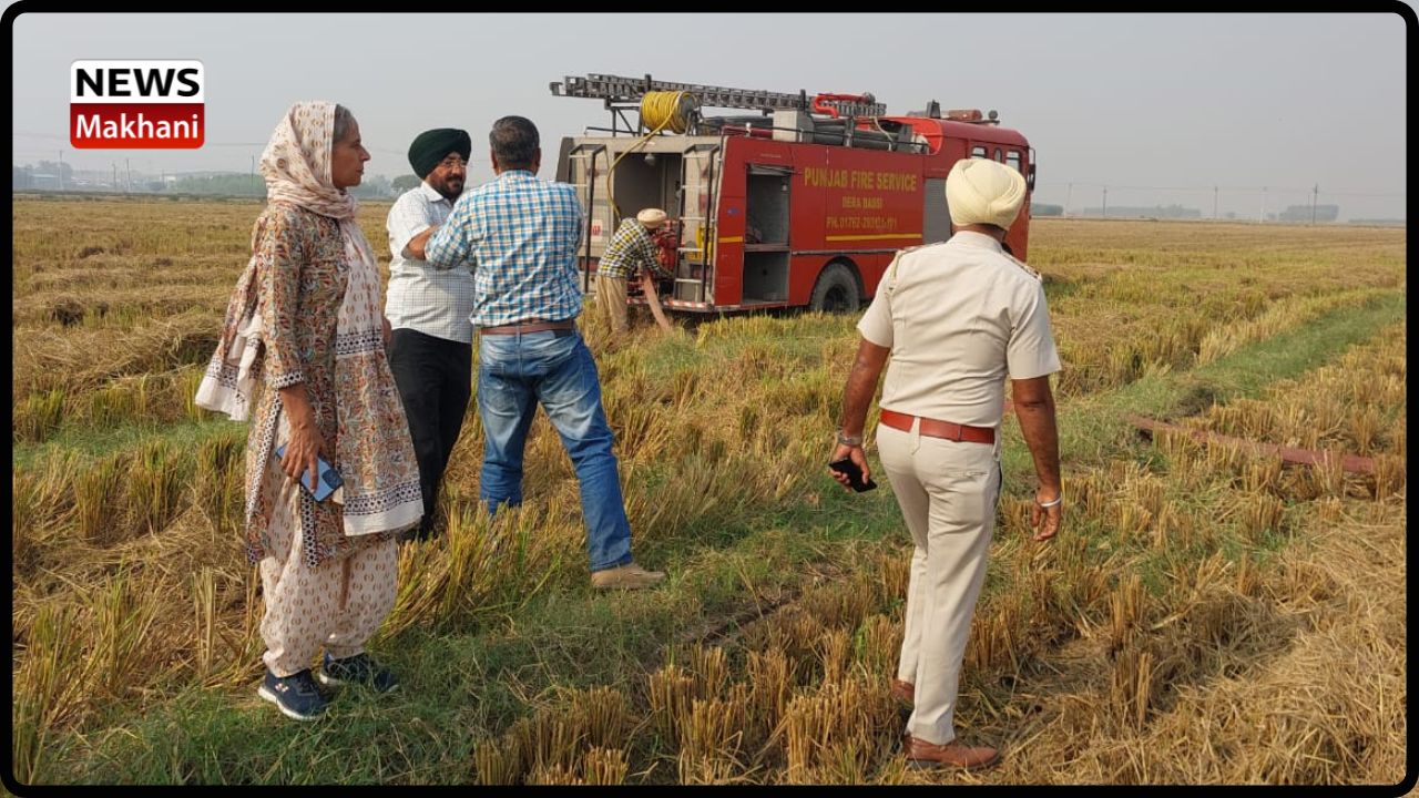 Untitled design (21)