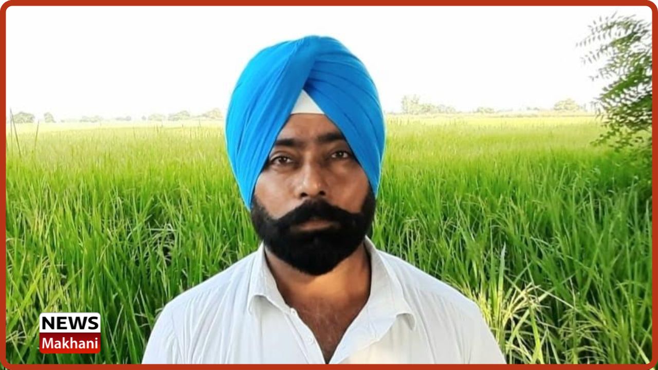 Untitled design (37)