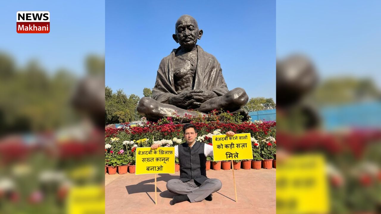 _Raghav Chadha (1) _Raghav Chadha (1)