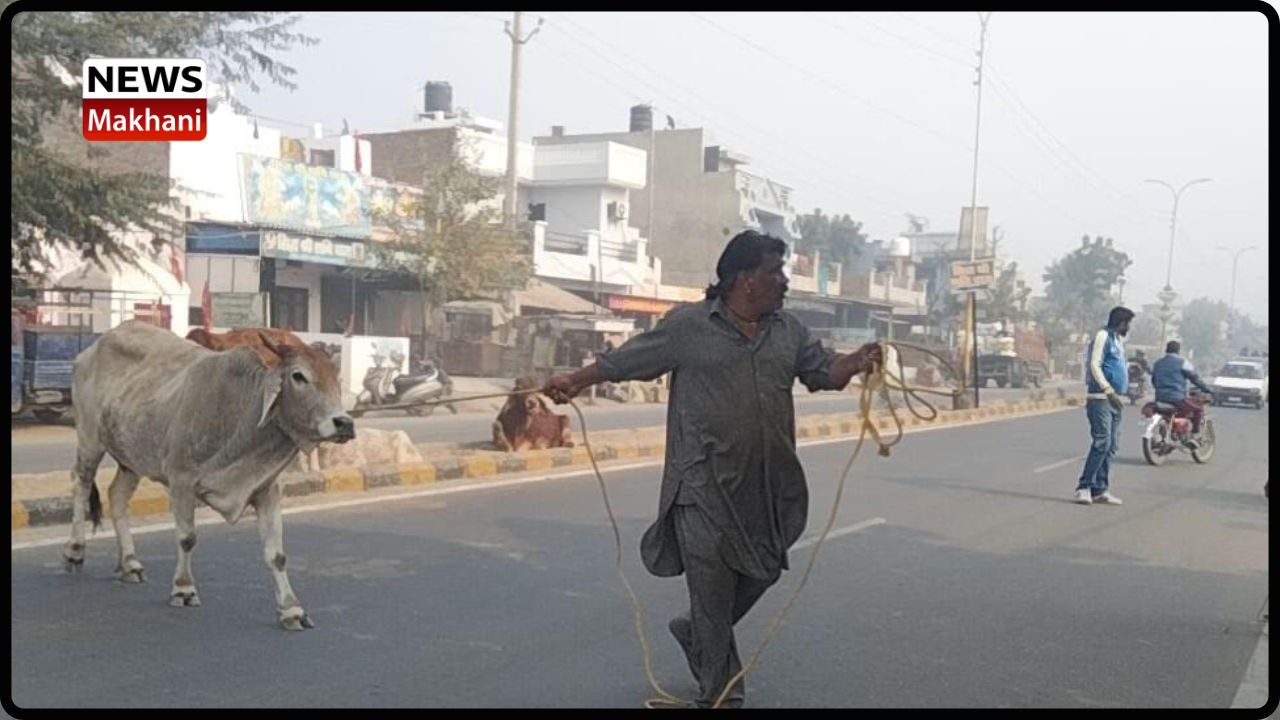 Untitled design - 2022-12-20T164415.809