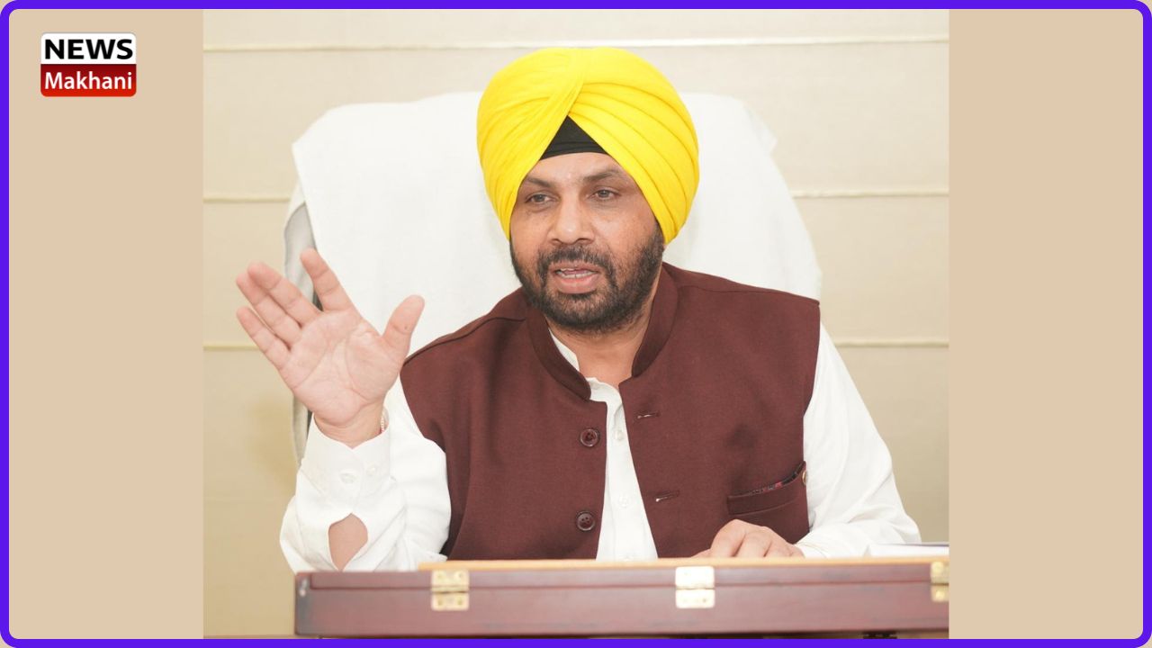 Untitled design (61)