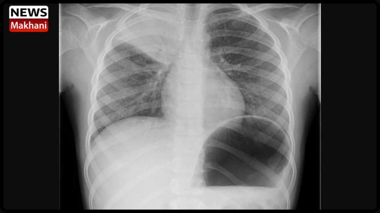 Untitled design (76)