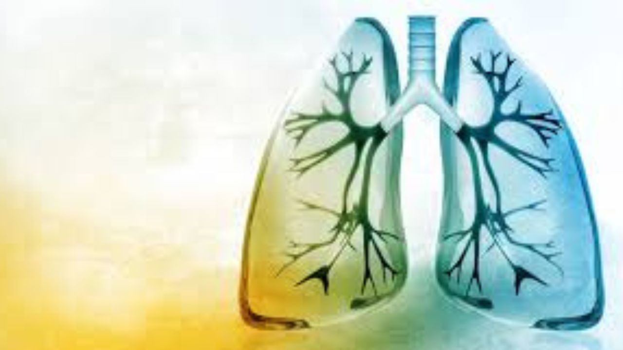 Untitled design (80)