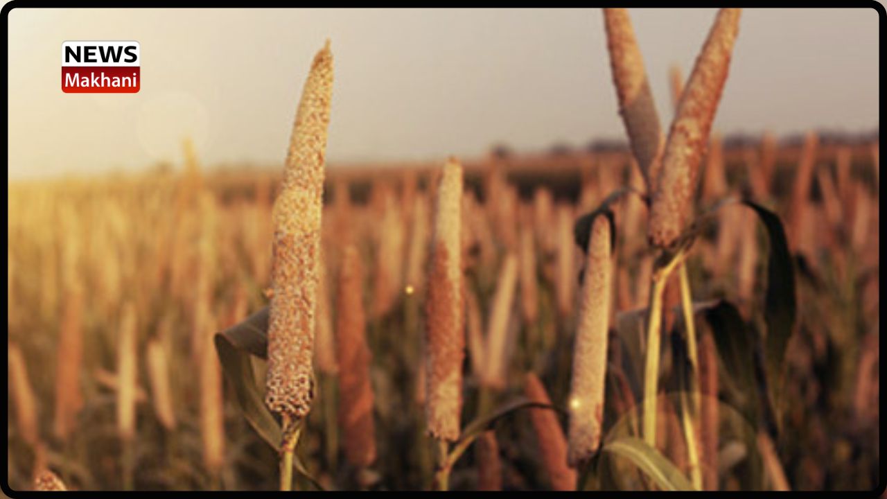 Untitled design - 2023-01-01T131627.105