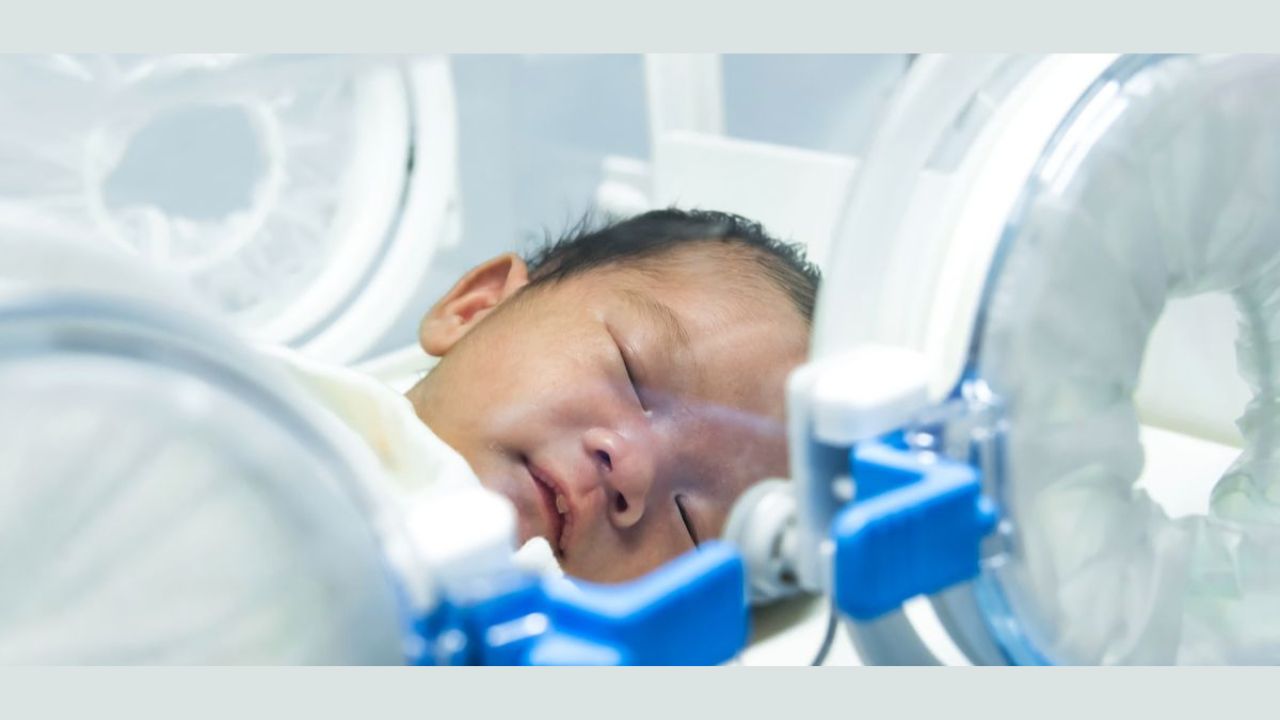 Untitled design - 2023-01-06T135845.923