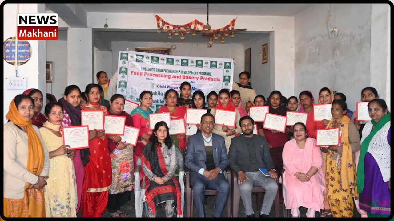 Untitled design - 2023-02-10T174703.493