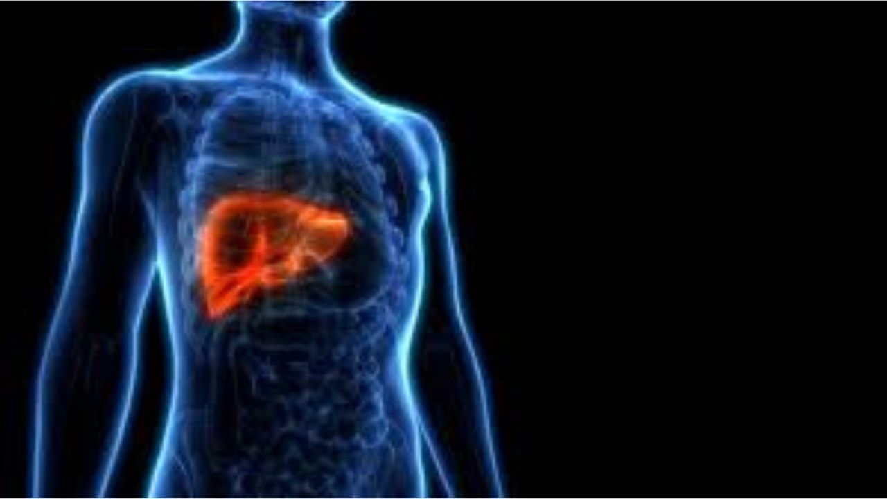 Untitled design - 2023-02-25T143831.896