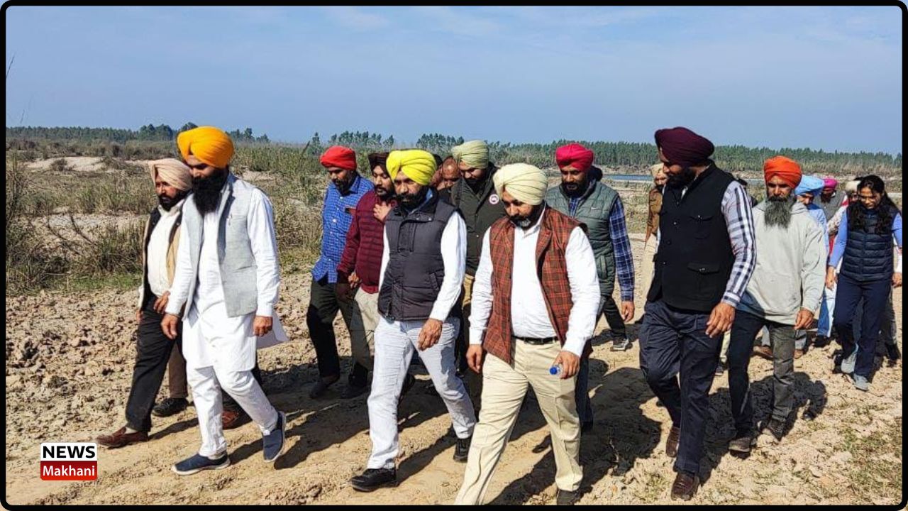 Untitled design (22)