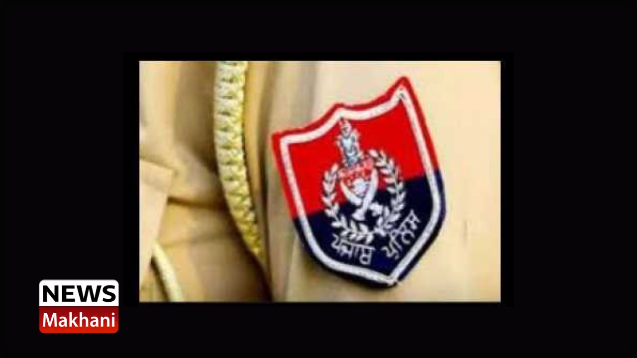 Untitled design - 2023-03-18T154247.427