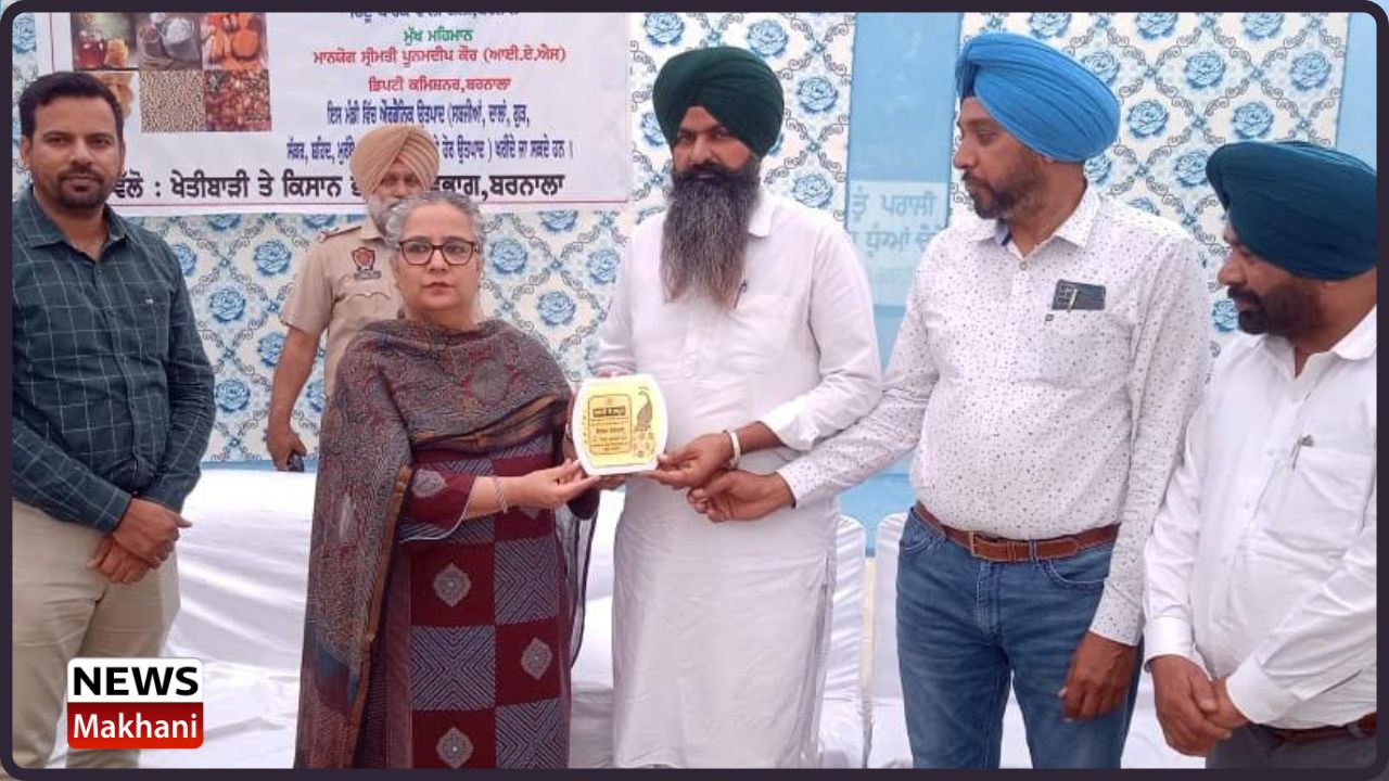 Untitled design - 2023-03-29T183241.454