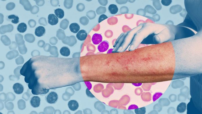 Untitled design - 2023-06-13T202326.683