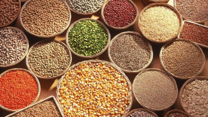 Untitled design - 2023-07-15T194637.355