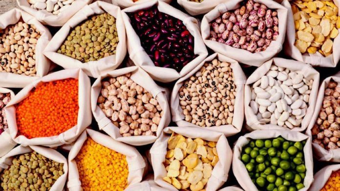 Untitled design - 2023-08-03T204008.605