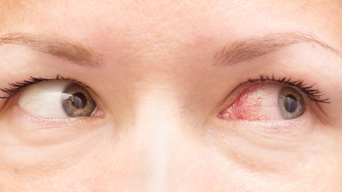 Untitled design - 2023-08-26T135542.764