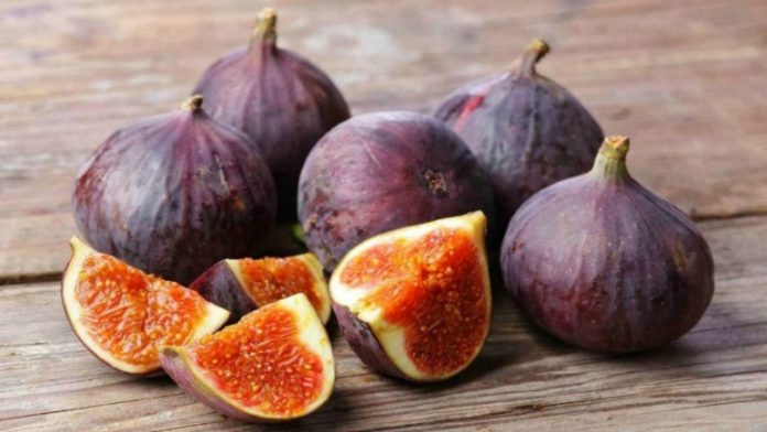 Untitled design - 2023-09-02T144755.039