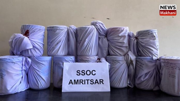 Untitled design (10)