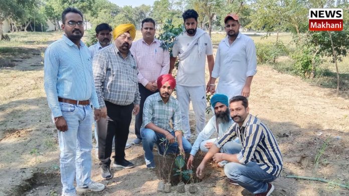 Untitled design (12)