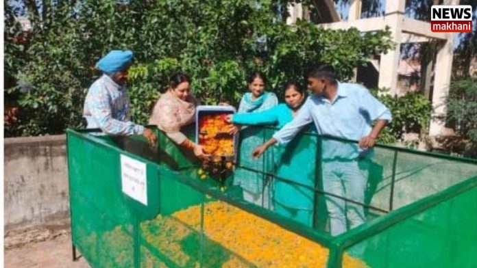 Untitled design (13)