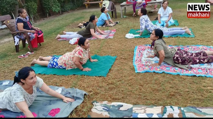 Untitled design (13)