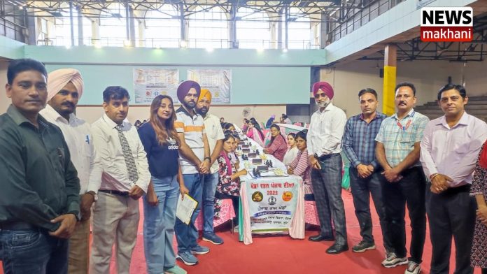 Untitled design (14)