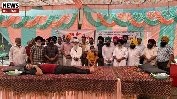 Untitled design (14)