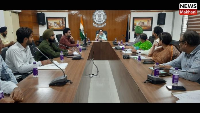 Untitled design (16)